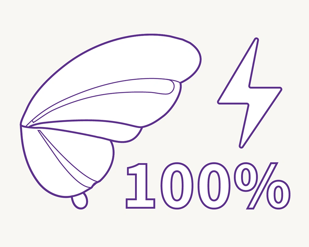 TAOF Liberty butterfly massager next to a lightning bolt and 100% symbol, illustrating the fully charged stage.