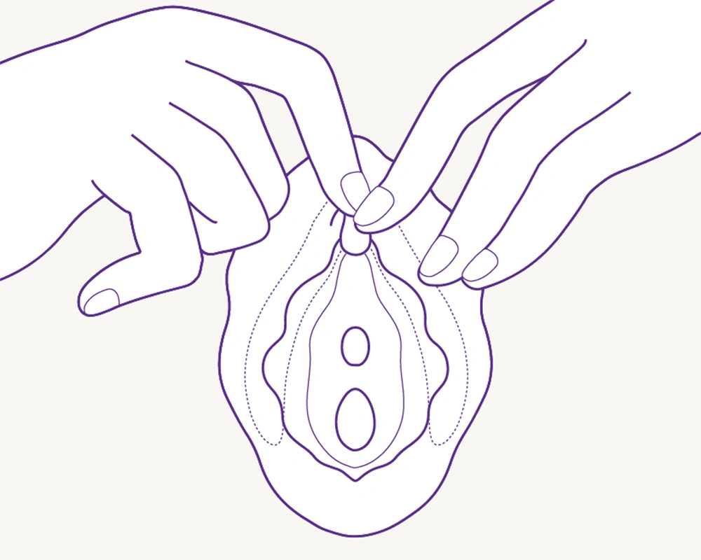 Line illustration showing hands gently parting the labia to locate the clitoris for precise TAOF Liberty placement.
