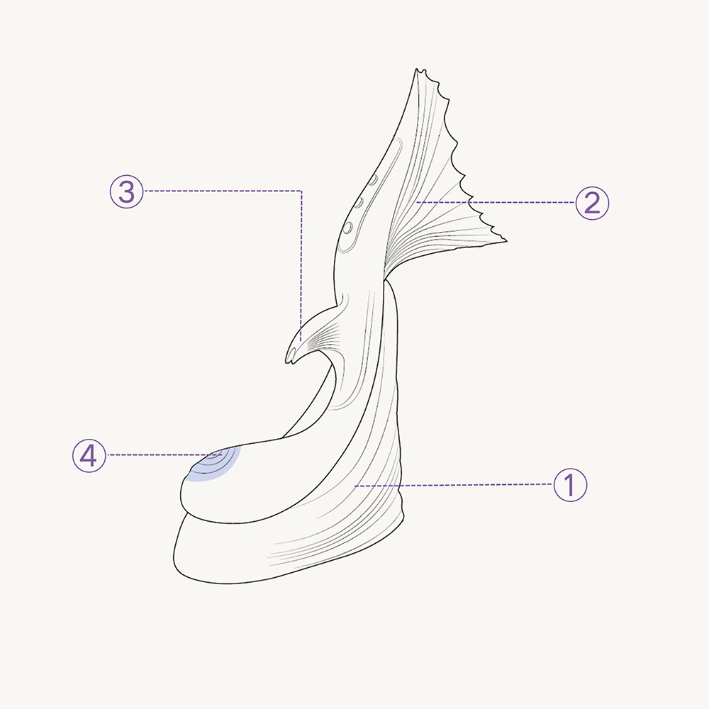 A clean anatomy diagram of the TAOF Vivare, explaining its ergonomic curves, intuitive controls, and art-inspired silhouette for effortless self-care.